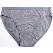 Imse Period Underwear Bikini Light Flow Grey L