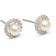 Lily and Rose Colette pearl stud earrings   Ivory pearl