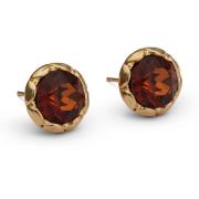 Lily and Rose Miss Victoria stud earrings Smoked amber