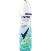 Rexona 72h Advanced Protection Eucalyptus & Coconut Water Spray