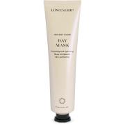 Löwengrip Instant Glow Day Mask 75 ml