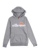 ELLESSE Collegepaita 'Jero'  harmaa / oranssi / vaaleanpunainen / valk...