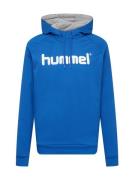 Hummel Collegepaita  sininen / valkoinen