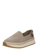 TOMS Loafer  pronssi / taupe