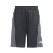 ADIDAS SPORTSWEAR Urheiluhousut  harmaa / musta