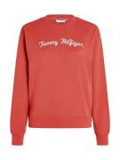 TOMMY HILFIGER Collegepaita  marine / punainen / valkoinen