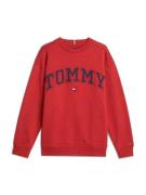 TOMMY HILFIGER Collegepaita  sininen / punainen / valkoinen