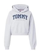 Tommy Jeans Collegepaita  tummansininen / harmaa