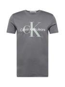 Calvin Klein Jeans Paita  tummanharmaa / minttu / valkoinen