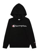 Champion Authentic Athletic Apparel Collegepaita  punainen / musta / v...