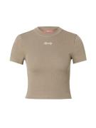 Superdry Paita  beige / seepia