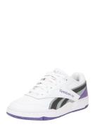 Reebok Matalavartiset tennarit 'BB 4000 II PT'  lila / musta / valkoin...