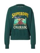 Superdry Collegepaita  ruskea / vaaleankeltainen / tummanvihreä / oran...