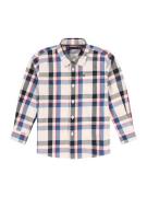 TOMMY HILFIGER Paita 'CHECK'  sininen / tummansininen / punainen / vil...