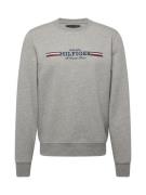 TOMMY HILFIGER Collegepaita  tummansininen / meleerattu harmaa / punai...