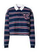 Tommy Jeans Paita  sininen / punainen / valkoinen