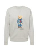 Polo Ralph Lauren Collegepaita  marine / ruskea / meleerattu harmaa / ...