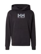 HELLY HANSEN Collegepaita  harmaa / minttu / musta