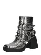 STEVE MADDEN Bootsit 'Kolton'  hopea