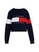 Tommy Jeans Neulepaita  laivastonsininen / punainen / valkoinen