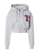 Tommy Jeans Collegetakki  marine / harmaa / tummanpunainen / valkoinen