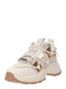STEVE MADDEN Matalavartiset tennarit 'TAZMANIA'  beige / pronssi / vil...