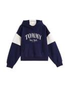 TOMMY HILFIGER Collegepaita  laivastonsininen / valkoinen