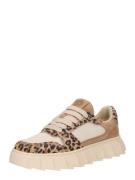 Apple of Eden Matalavartiset tennarit 'LONDON'  beige / ruskea / musta