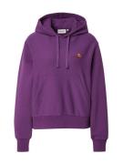 Carhartt WIP Collegepaita  tummankeltainen / lila / marjat