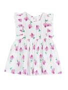 Chicco Mekko  vihreä / malva / fuksia / valkoinen