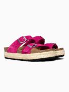 Bayton Pistokkaat 'ALCEE'  fuksia
