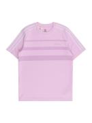 ADIDAS ORIGINALS Paita  lila / tummanvioletti