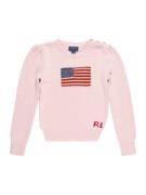 Polo Ralph Lauren Neulepaita  laivastonsininen / ruskea / roosa / puna...