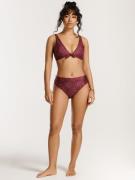 Shiwi Bikini 'Teddy'  malva / karhunvatukka / aprikoosi