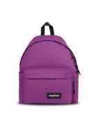 EASTPAK Reppu 'Padded Pak'r'  lila / musta