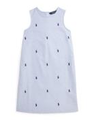 Polo Ralph Lauren Mekko  laivastonsininen / vaaleansininen