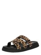 STEVE MADDEN Pistokkaat 'Missile'  konjakki / cappuccino / musta