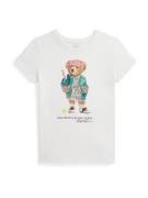 Polo Ralph Lauren Paita  ruskea / smaragdi / vanha roosa / offwhite