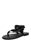 TOPSHOP Varvastossut 'Jeremiah'  musta
