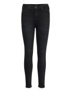 Ivy Black Lee Jeans