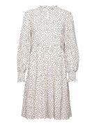 Eva Dress White Lollys Laundry