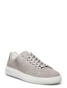 Jona Suede Shoe Grey Sneaky Steve