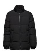 Jwhpaul Puffer Collar Jnr Black Jack & J S