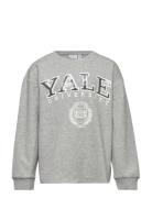 Nkfazassa University Boxy Sweat Bru Park Grey Name It