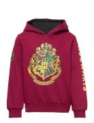 Sweat Red Harry Potter