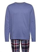 Pyjama Knit Blue Jockey