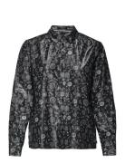 Scotch & Soda Black Scotch & Soda