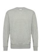 Sdlenz Crew Sw Grey Solid