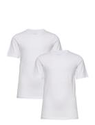 Basic 32 -T-Shirt Ss White Minymo