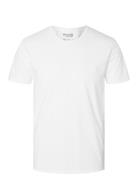 Slhnewpima Ss O-Neck Tee Noos White Selected Homme